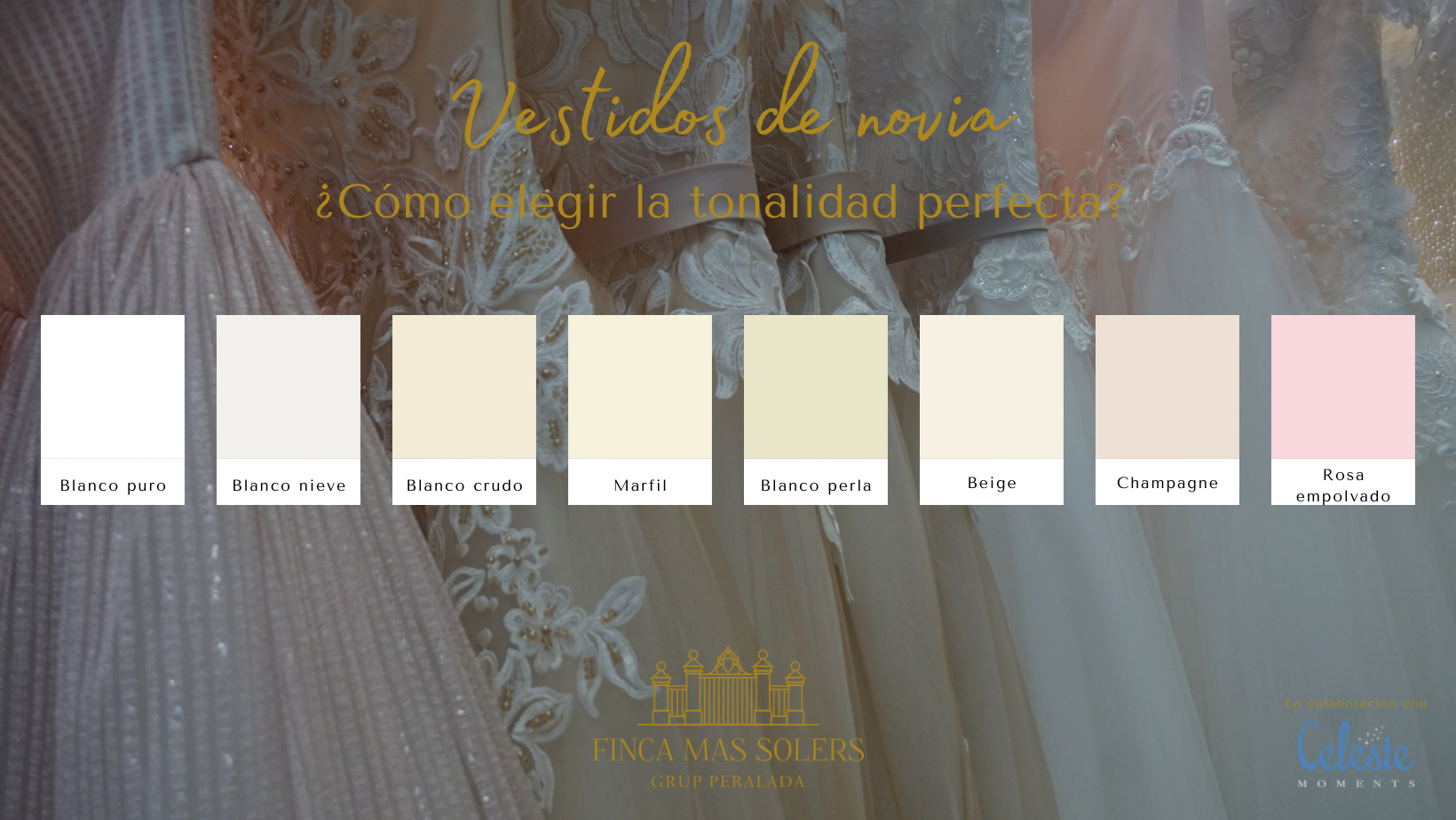 Vestidos de novia: ¿cómo elegir la tonalidad perfecta?