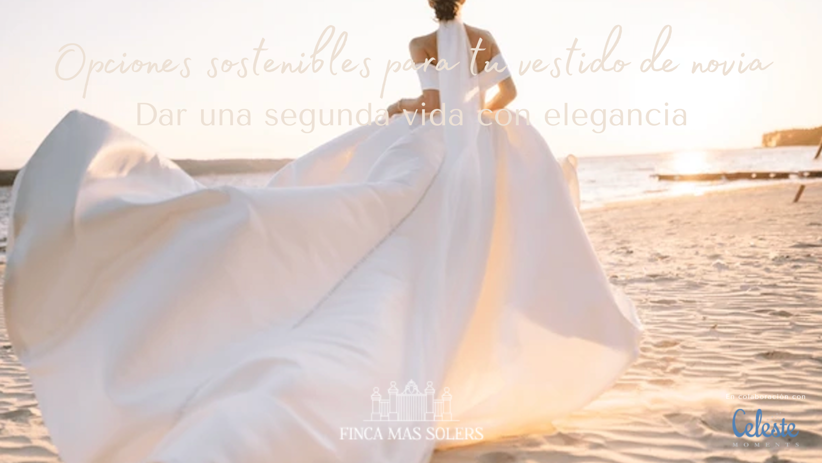 Opciones sostenibles para tu vestido de novia: dar una segunda vida con elegancia