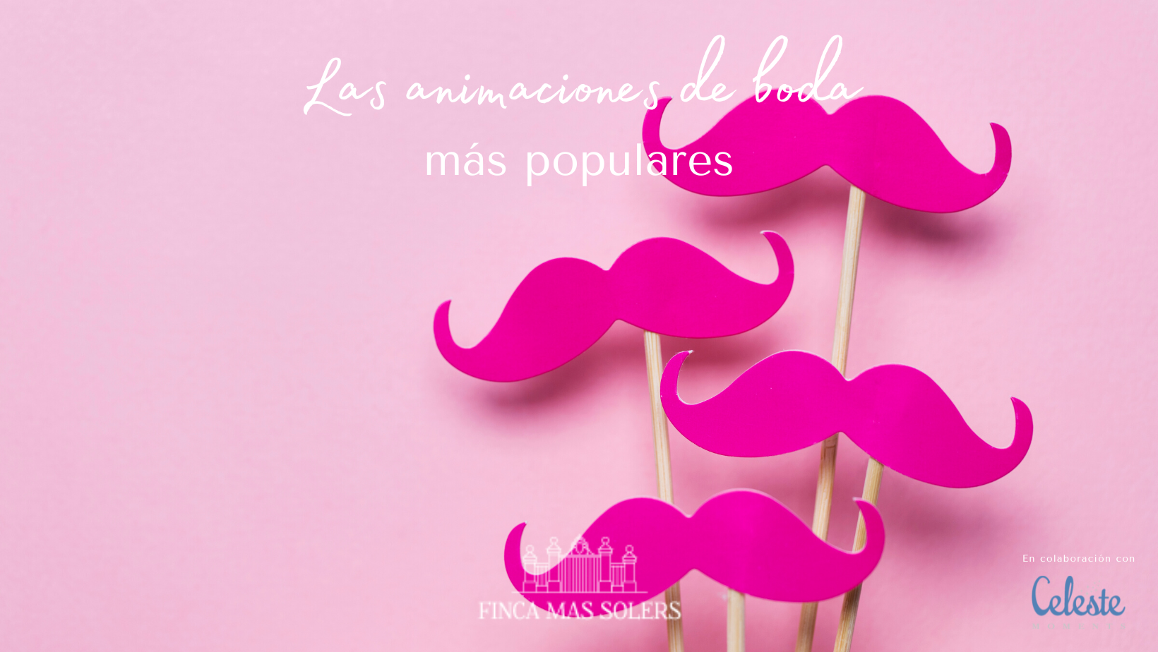 Las animaciones de boda más populares